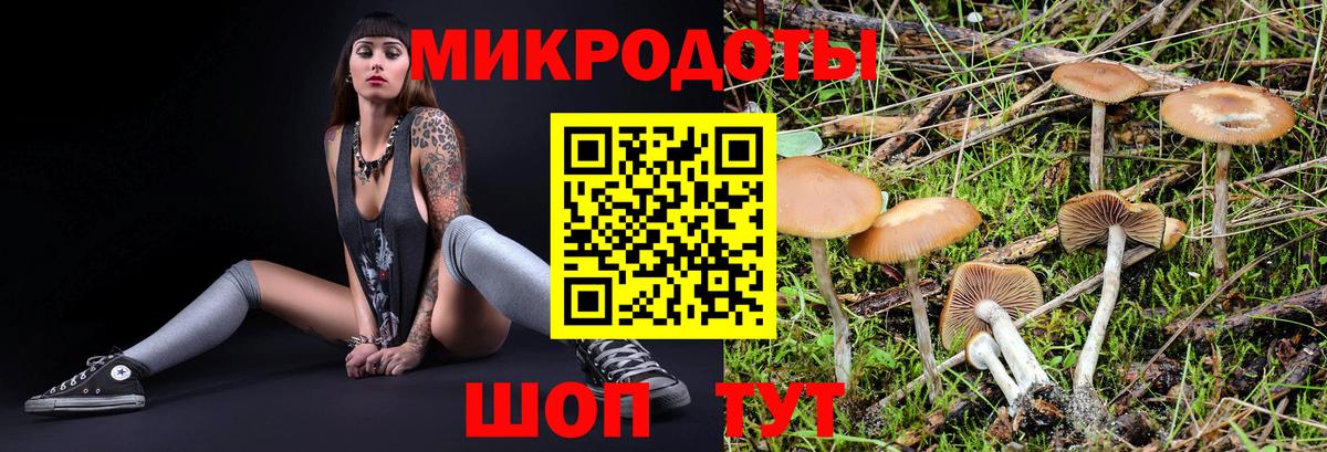 Галлюциногенные грибы Psilocybine cubensis  даркнет сайт  Вход с VPN  Тутаев  Галлюциногенные грибы Cubensis 